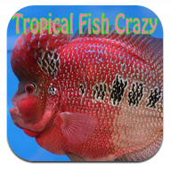 Tropical Fish Crazy, Puzzles gratis para iPhone y iPod Touch